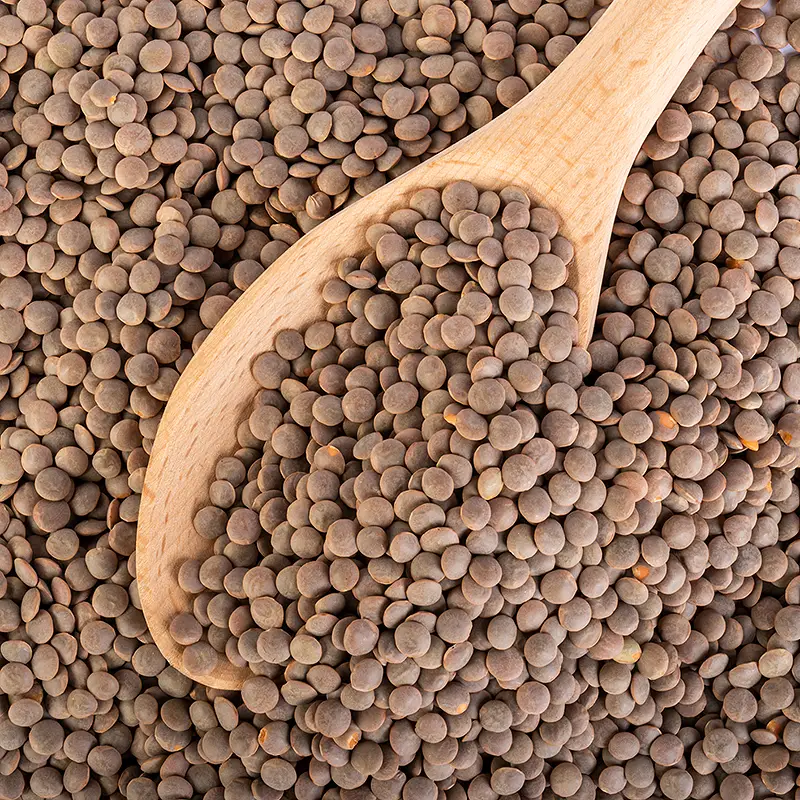 Bansi Masoor Whole (Whole Red Lentil) Brown - 4 lbs (4 lbs bag)