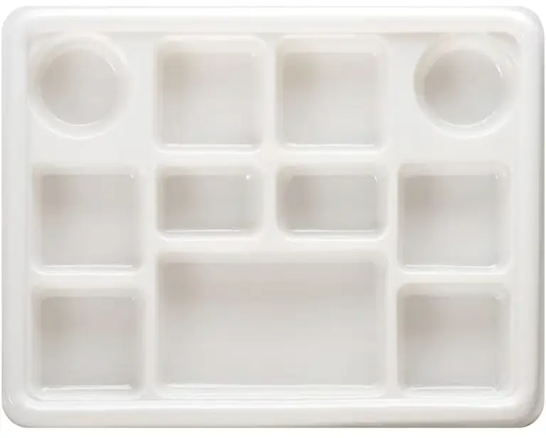 Party Plate (thali) - Rectangle - 50 pack (50 pack)
